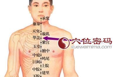 中医方剂的功用最大全版