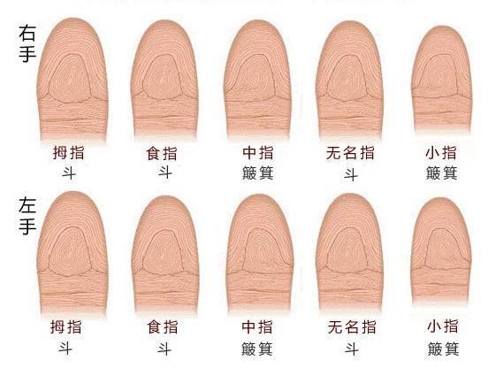 手掌纹路算命测试（手掌中的指纹预测算命）(2)