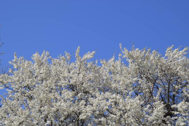 如何改变自己的五种方法（改变自己的9个小方法）(1)