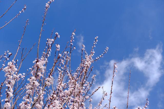 如何改变自己的五种方法（改变自己的9个小方法）(6)