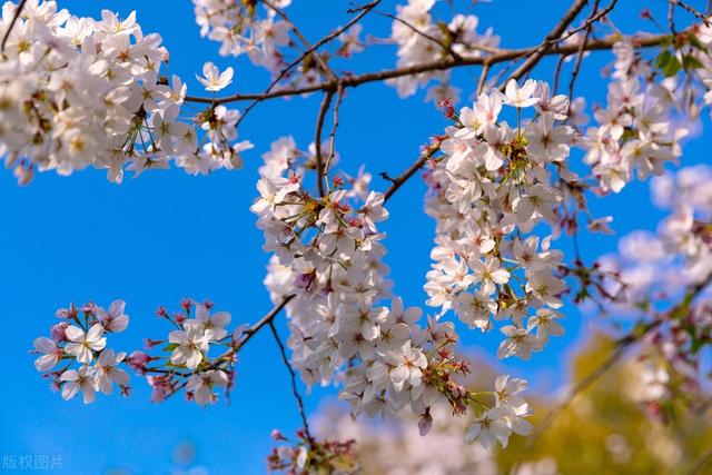 如何改变自己的五种方法（改变自己的9个小方法）(5)