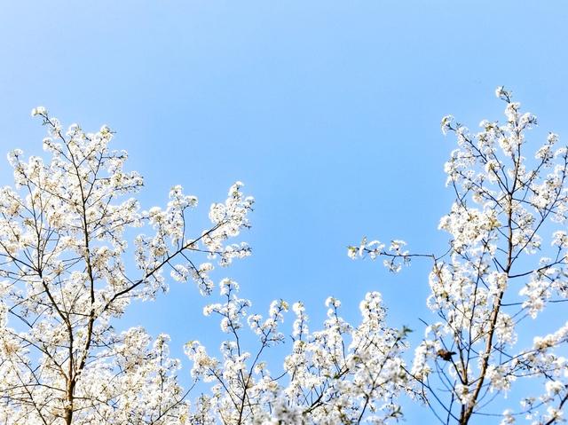 如何改变自己的五种方法（改变自己的9个小方法）(3)