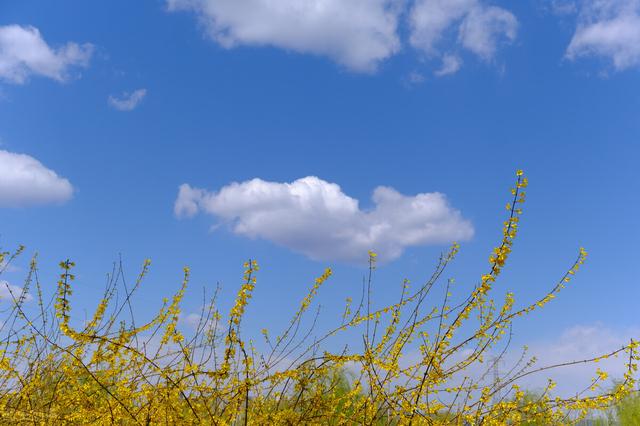 如何改变自己的五种方法（改变自己的9个小方法）(4)