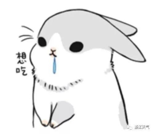 塘栖枇杷采摘攻略（塘栖枇杷进入采摘期）(1)