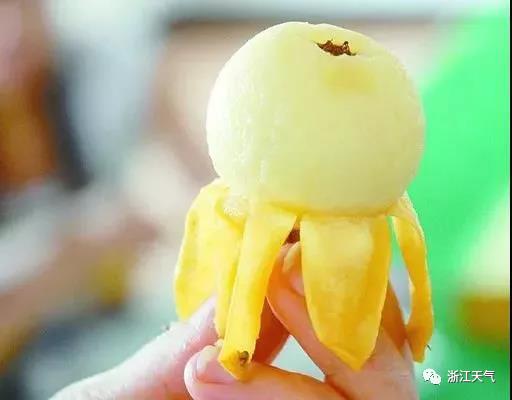 塘栖枇杷采摘攻略（塘栖枇杷进入采摘期）(9)