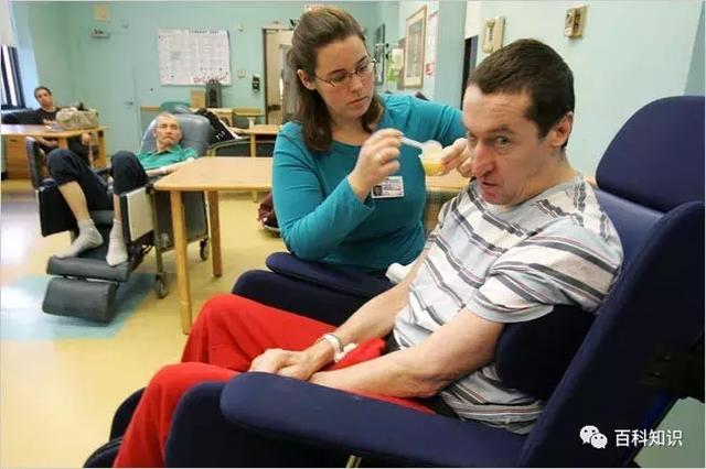 转基因的动物有哪些作用（转基因动物与人类健康）(2)