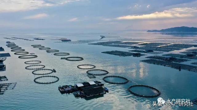 水产养殖关键技术（水产养殖中日常需要注意哪些事项）(2)