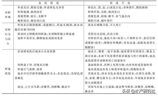 水产养殖关键技术（水产养殖中日常需要注意哪些事项）(5)