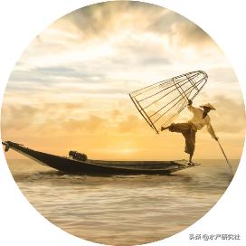 水产养殖关键技术（水产养殖中日常需要注意哪些事项）(1)