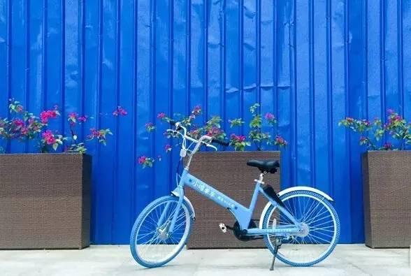 小鸣单车现状如何（起个大早赶个晚集的）(2)