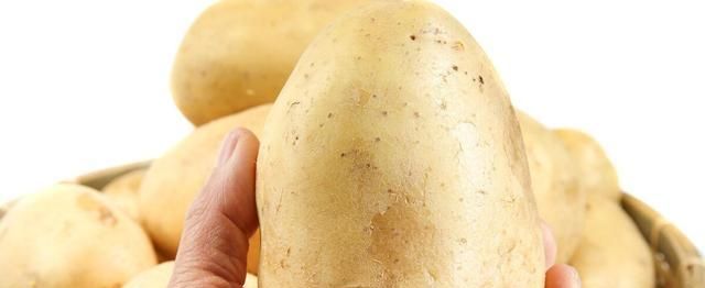 土豆绿色能吃不