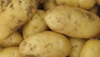 土豆发绿了还能吃吗图片