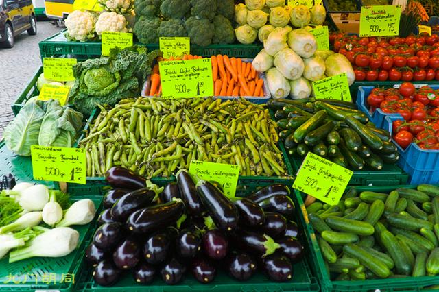 贝多芬生活在莱茵河畔（贝多芬的出生地-波恩）(36)