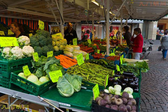 贝多芬生活在莱茵河畔（贝多芬的出生地-波恩）(35)
