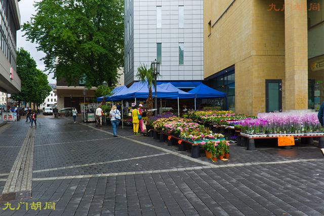 贝多芬生活在莱茵河畔（贝多芬的出生地-波恩）(4)