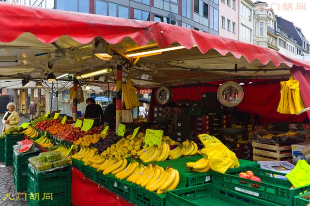 贝多芬生活在莱茵河畔（贝多芬的出生地-波恩）(38)