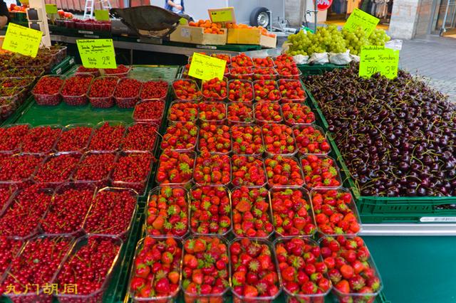 贝多芬生活在莱茵河畔（贝多芬的出生地-波恩）(37)