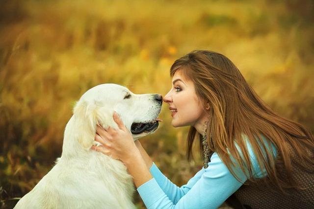 对主人最忠心的十种狗(最忠诚的几种狗)(1)