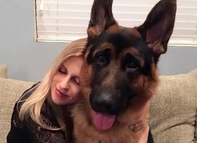 对主人最忠心的十种狗(最忠诚的几种狗)(9)