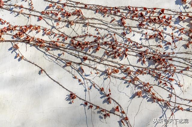 关于范仲淹的简短故事（苏先生读史范仲淹）(29)