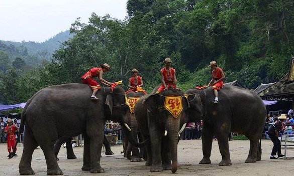 傣族的生活习惯,傣族人民的生活特色图2