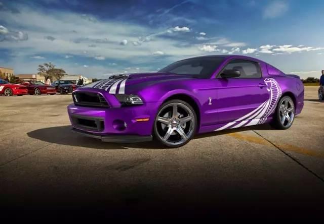 成年女性喜欢的颜色(原来女人们都喜欢这个颜色)(28)