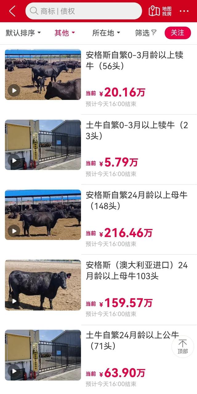 淘宝上的司法拍卖怎么玩(了解网络司法拍卖)(8)