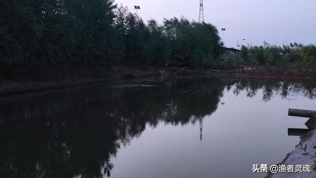 如何在河里钓野生大鲤鱼(野生大物池垂钓经验)(2)