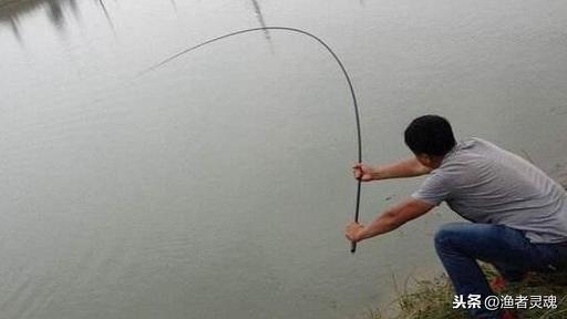 如何在河里钓野生大鲤鱼(野生大物池垂钓经验)(5)