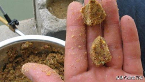 如何在河里钓野生大鲤鱼(野生大物池垂钓经验)(3)