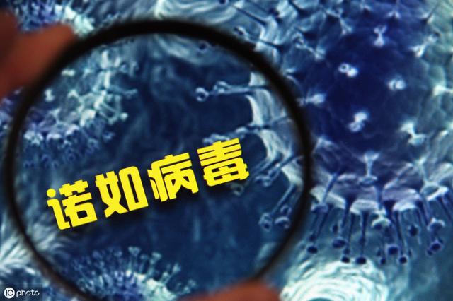 怎样确定自己是不是诺如病毒(诺如病毒卷土重来)(7)