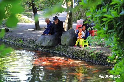 都江堰旅游攻略自由行攻略图（旅游攻略童趣自由和慢生活）(27)