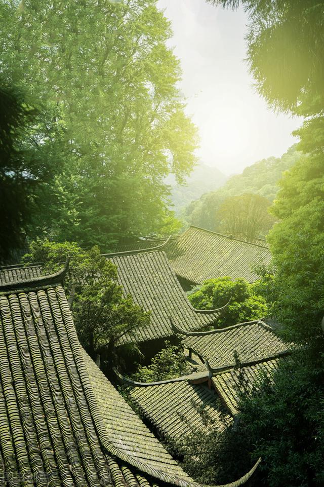 成都三日游详细攻略（来咯来咯四天三夜）(46)