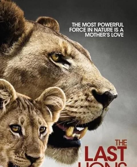 狱警是哪一种动物形象的拟人化,预警是哪一种动物的拟人化?图2