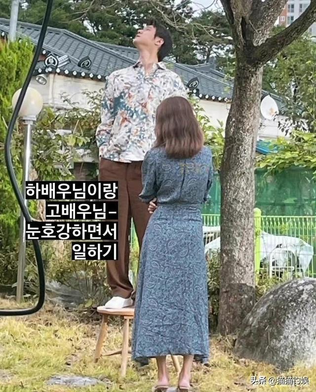 河智苑海边写真（河智苑近照瘦出新高度）(10)