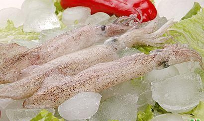 鱿鱼不是鱼属于什么类