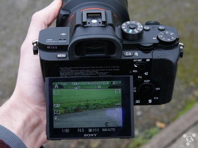 索尼a7s全画幅微单（低光和之王）(5)