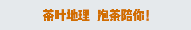 龙井茶如何泡最好喝 每天3分钟学茶很轻松(1)