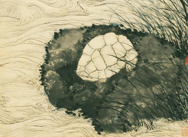 100年的乌龟到底有多大(千年王八万年龟)(2)