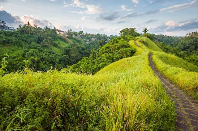 巴厘岛攻略住宿贵吗（在巴厘岛的假期里有14件可以免费做的事情）(9)
