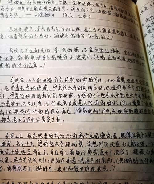 《昆虫记》的文章有哪些?