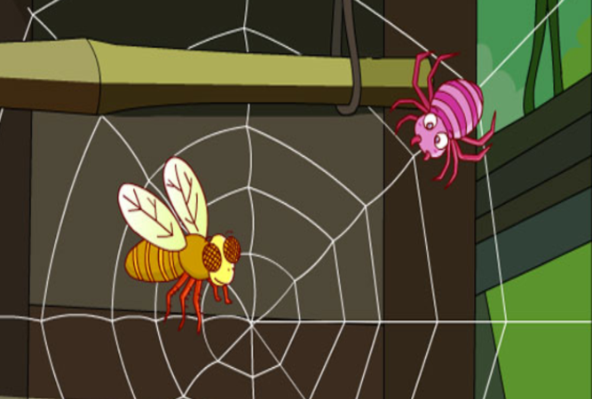 蜘蛛天生会织网吗