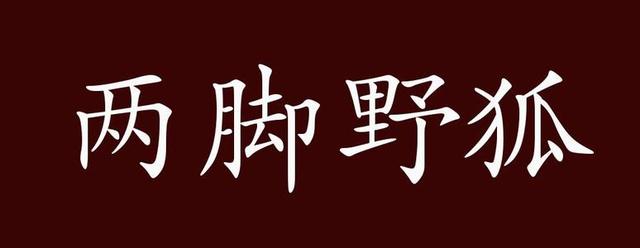 武则天成语大全（从模棱两可到唾面自干）(6)
