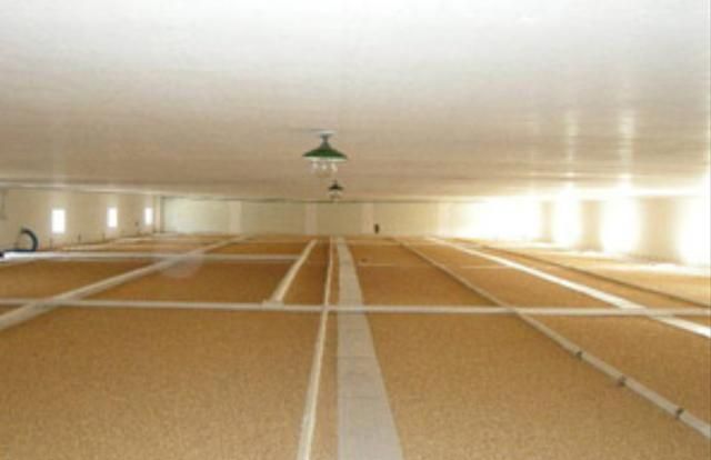 面粉里有小黑虫怎么办,家里有小黑虫,壳是硬的,嘴尖尖的,不大,这是什么虫?怎么清理?图6