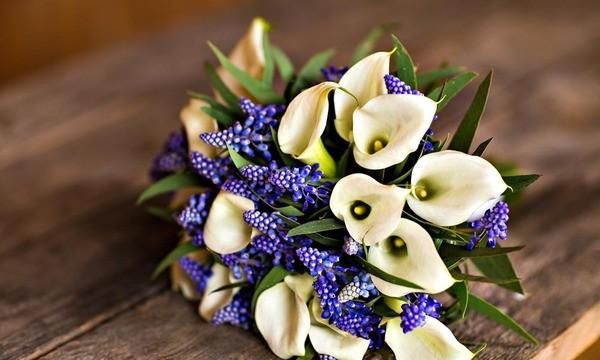 马蹄莲有毒吗,有人说马蹄莲花有毒,是真的吗?图7