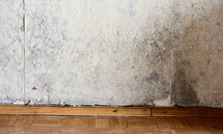 地面返潮解决妙招有哪些