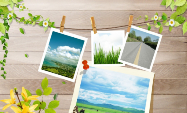 一寸相片的尺寸,一寸照片的尺寸是多少厘米图4