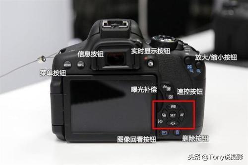 摄影基础知识入门单反 教程(完整的单反相机入门基础知识)(2)