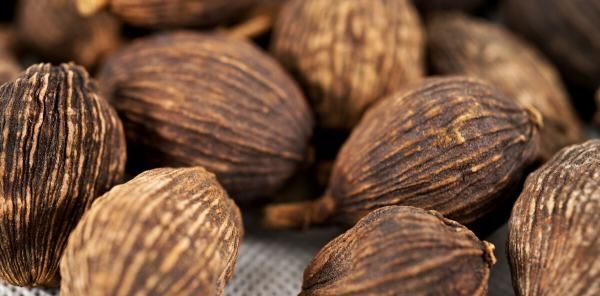 让肉发香的大料是什么,入肉香的香料有?图8