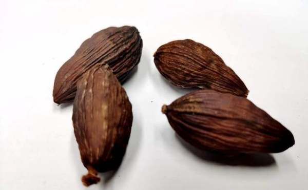 让肉发香的大料是什么,入肉香的香料有?图18